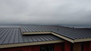 Best Roof Ventilation Installation  in Lake Village, AR